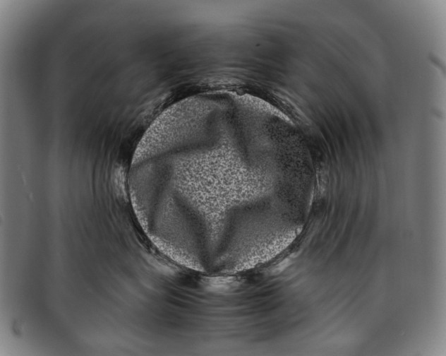 X0000097840575200804041446
