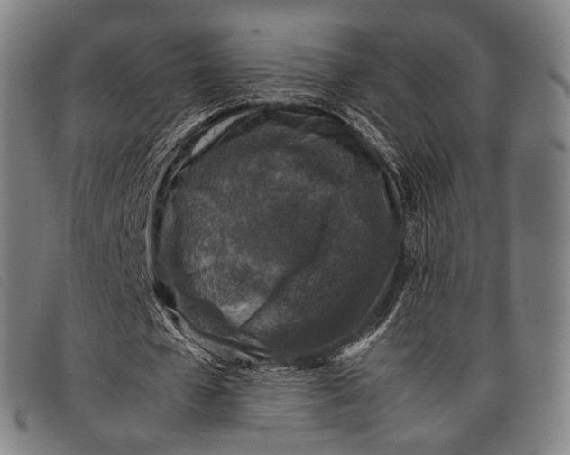X0000097840577200804041445