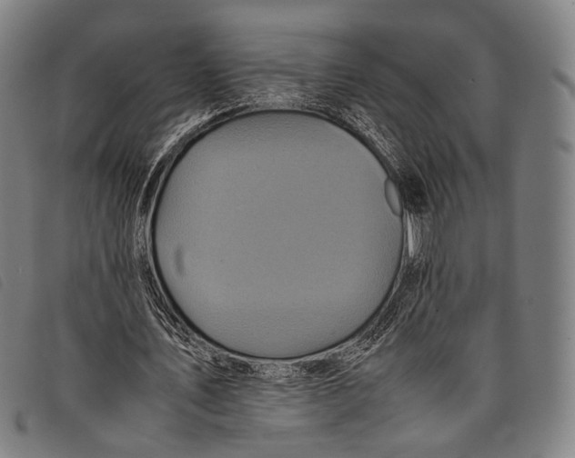 X0000097840579200804041445