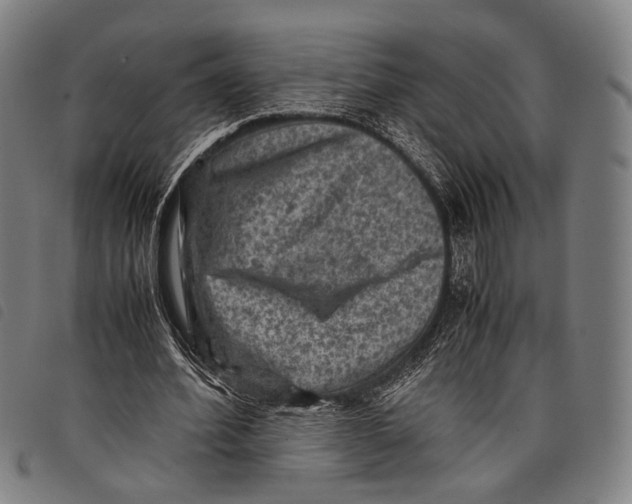 X0000097840580200804041445