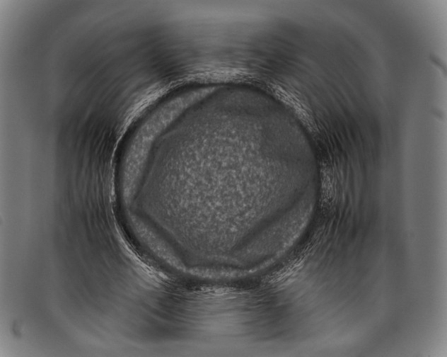 X0000097840582200804041445
