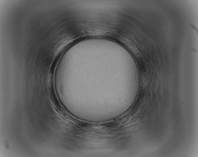 X0000097840583200804041445