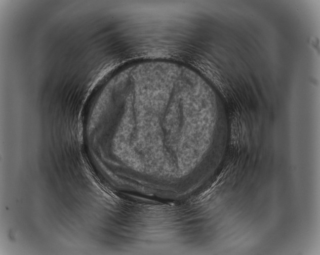 X0000097840584200804041445