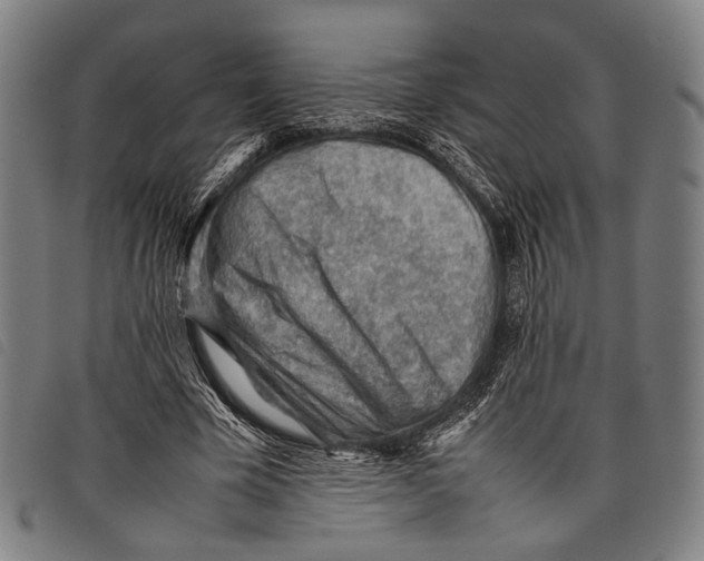 X0000097840585200804041445