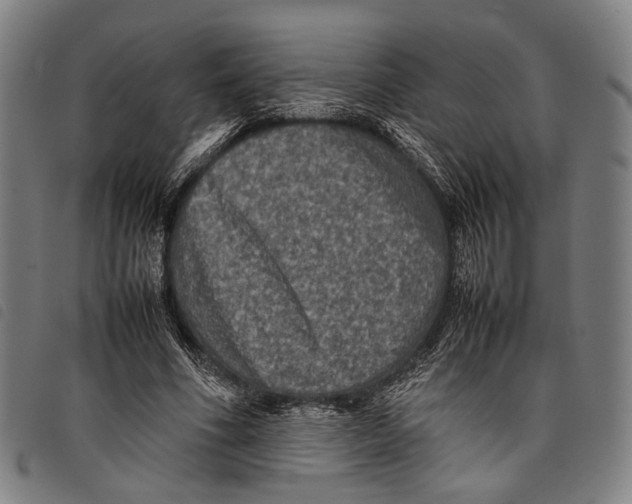 X0000097840586200804041445