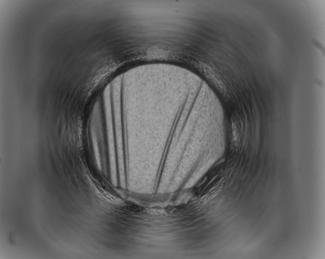 X0000097840588200804041445