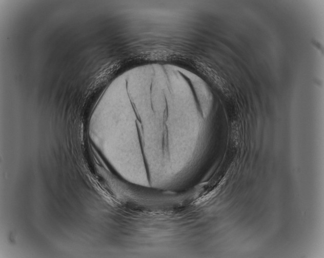 X0000097840589200804041445