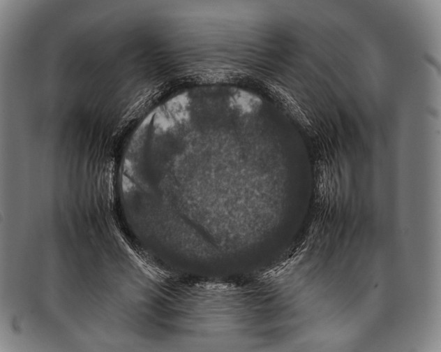 X0000097840590200804041445