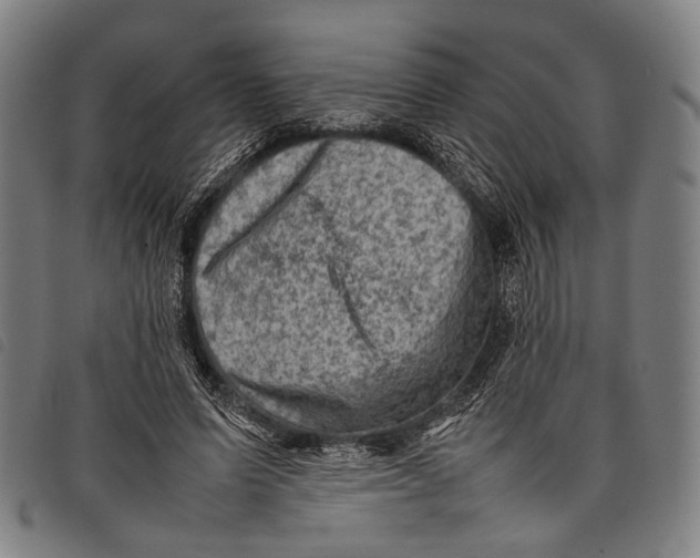 X0000097840591200804041445