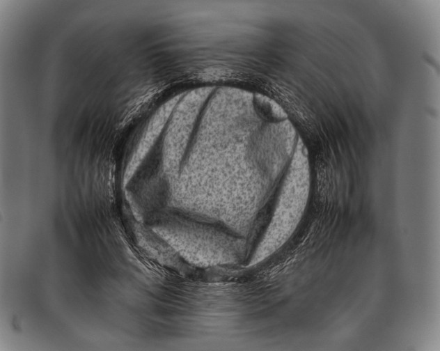 X0000097840592200804041445