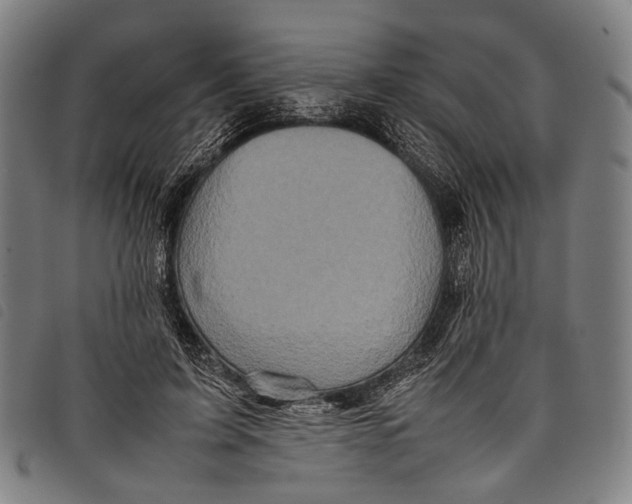 X0000097840595200804041445