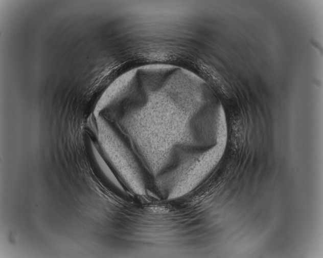 X0000097840596200804041445
