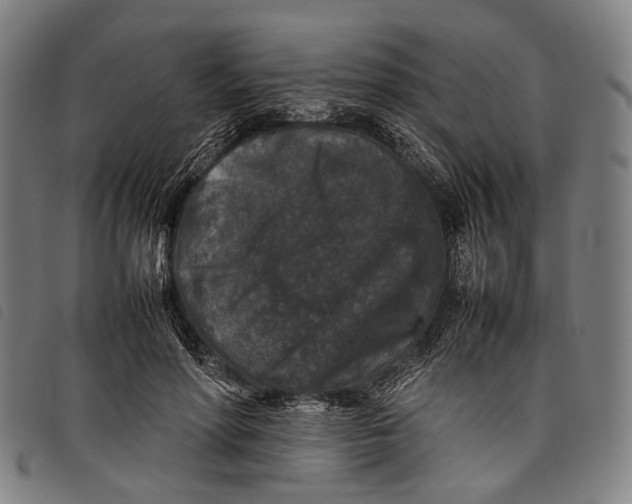 X0000097840598200804041445