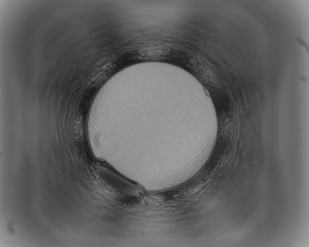 X0000097840599200804041445