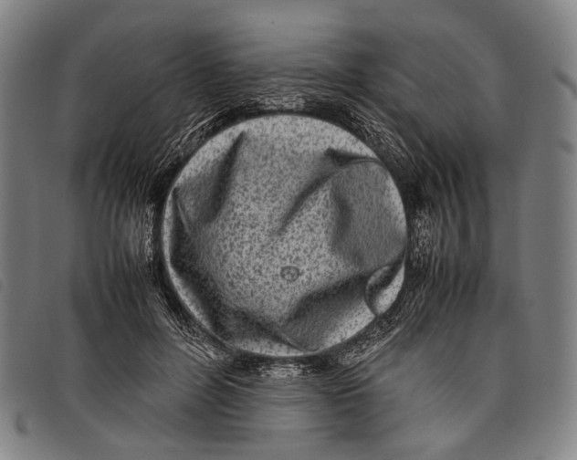 X0000097840600200804041445