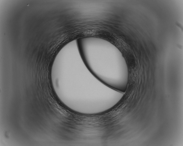 X0000097840601200804041445