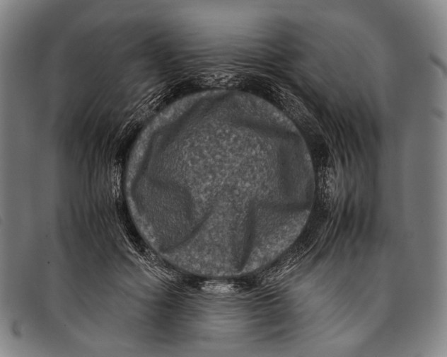 X0000097840602200804041445