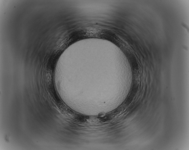 X0000097840603200804041445