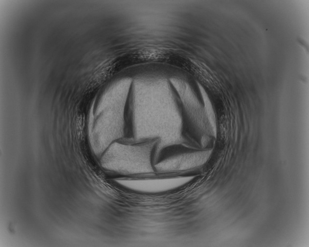 X0000097840605200804041445