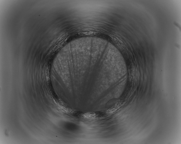 X0000097840606200804041445