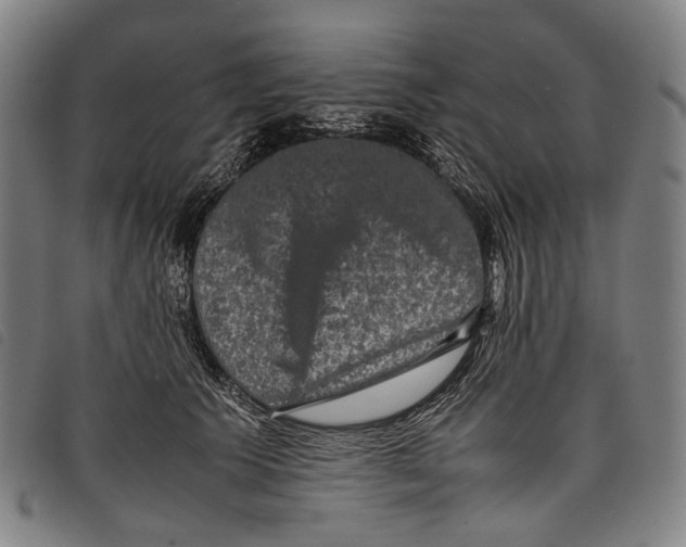 X0000097840609200804041445