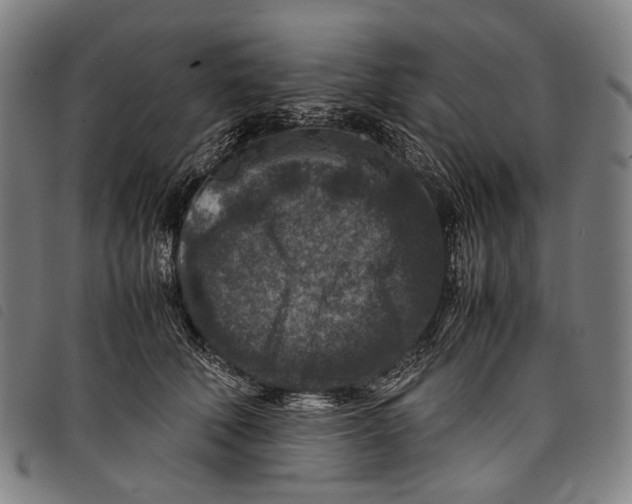 X0000097840610200804041445