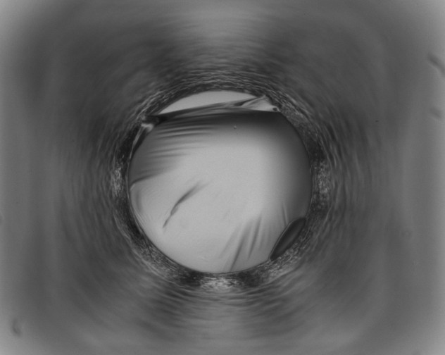X0000097840611200804041445