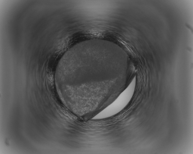 X0000097840613200804041445