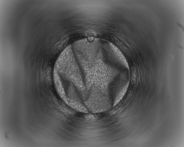 X0000097840616200804041445