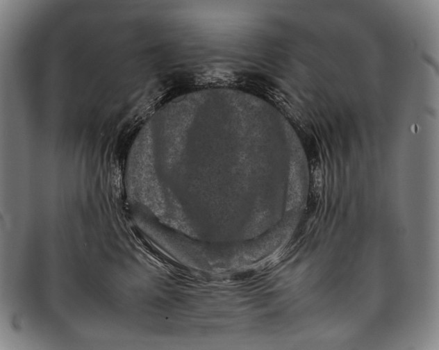 X0000097840617200804041445
