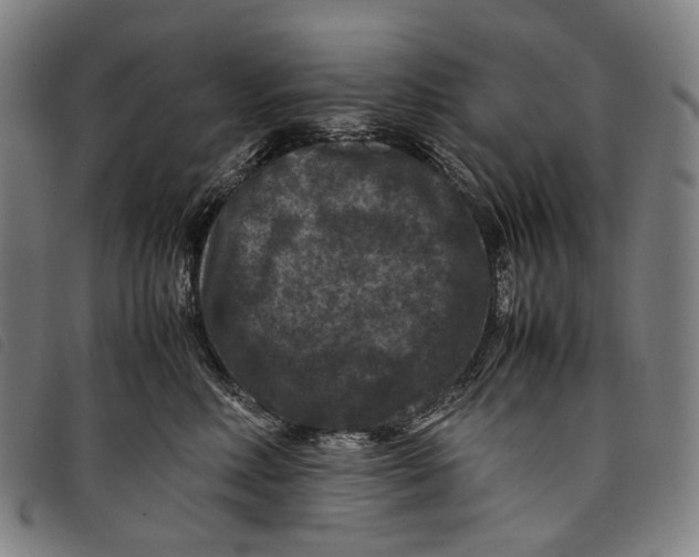 X0000097840618200804041445