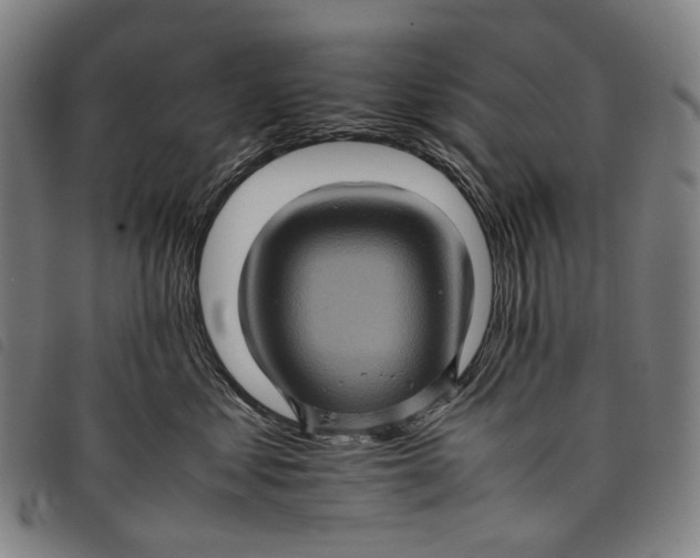 X0000097840621200804041445