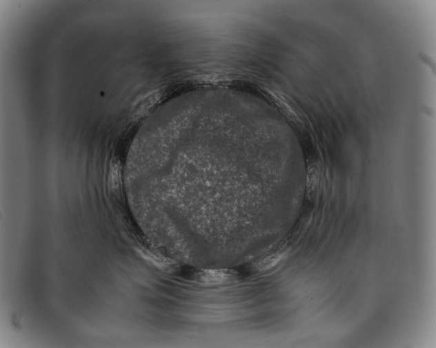 X0000097840623200804041445