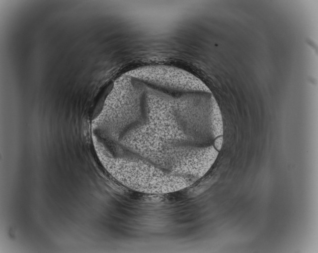 X0000097840624200804041445