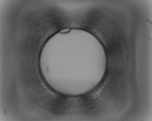 X0000097840625200804041444