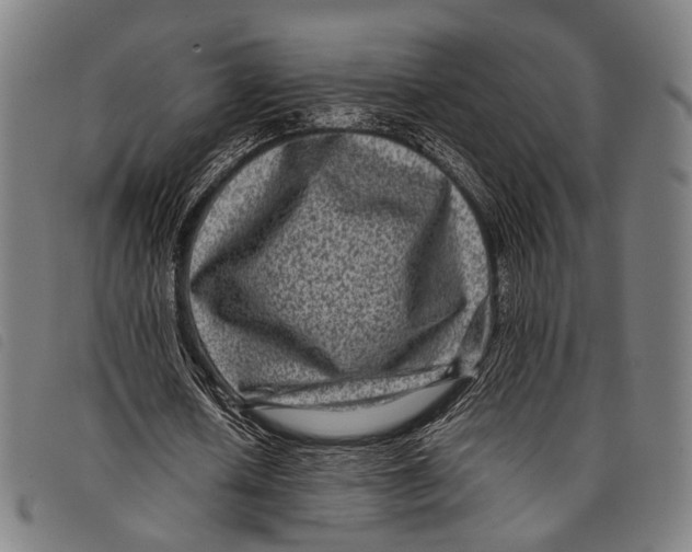 X0000097840626200804041444