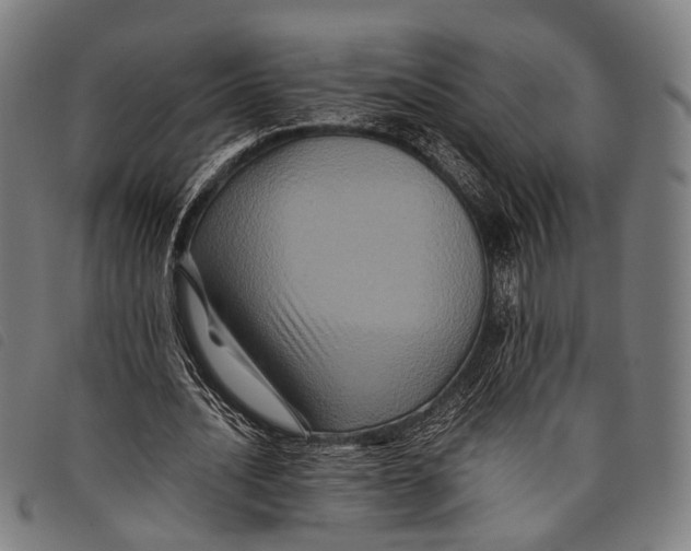 X0000097840628200804041444