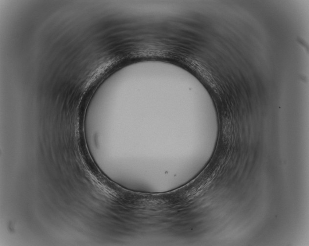 X0000097840629200804041444