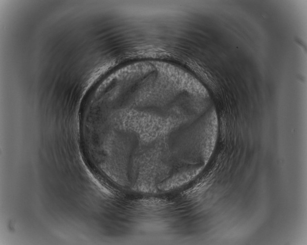 X0000097840630200804041444