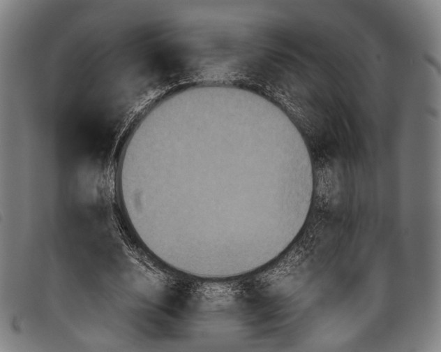 X0000097840632200804041444