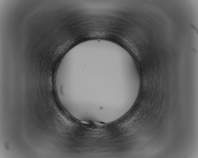 X0000097840633200804041444