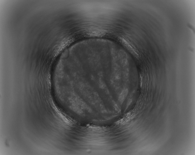 X0000097840634200804041444