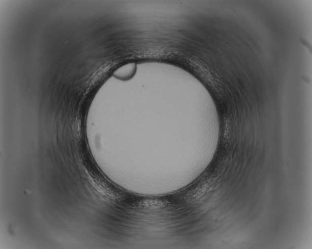 X0000097840636200804041444