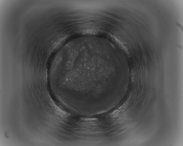 X0000097840637200804041444