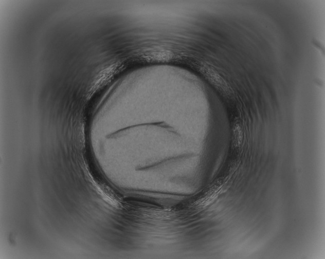 X0000097840638200804041444