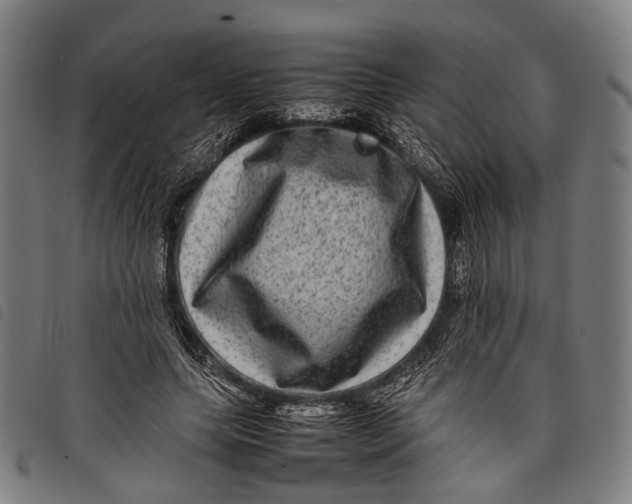 X0000097840639200804041444