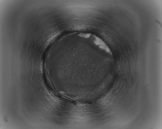 X0000097840640200804041444