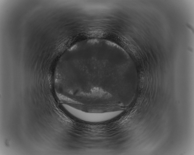 X0000097840641200804041444