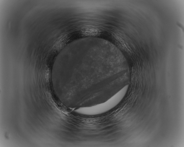 X0000097840647200804041444