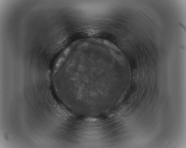 X0000097840650200804041444